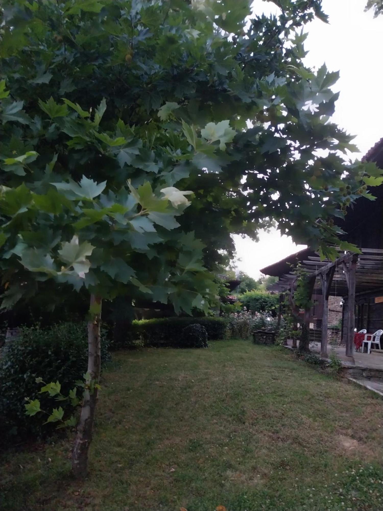 Guest Houses "Zlatna Oresha - Complex" Zheravna ภายนอก รูปภาพ